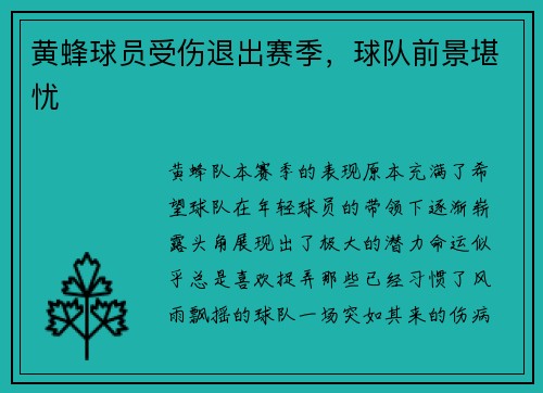 黄蜂球员受伤退出赛季，球队前景堪忧
